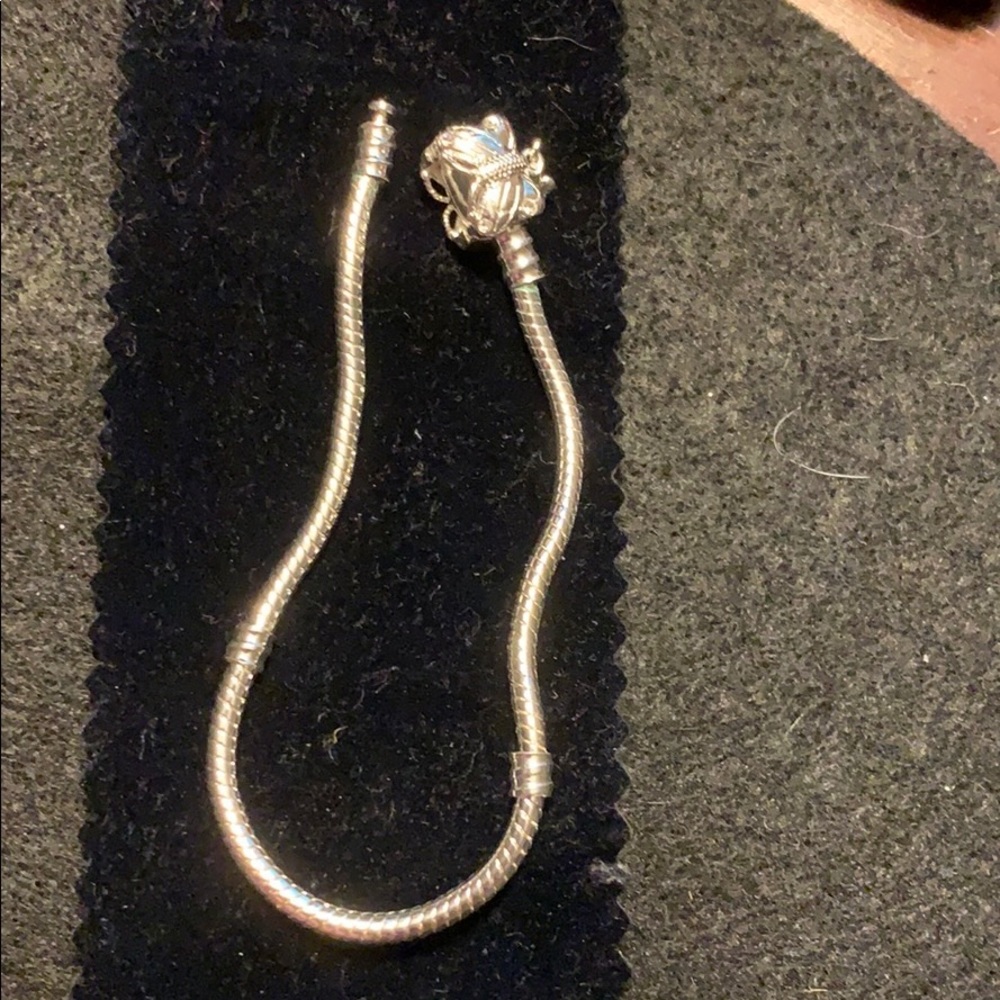 Bracelet .  Pandora like bracelet.